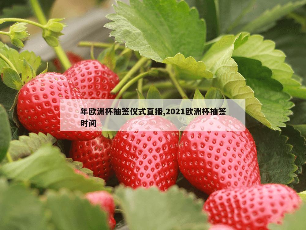 年欧洲杯抽签仪式直播,2021欧洲杯抽签时间