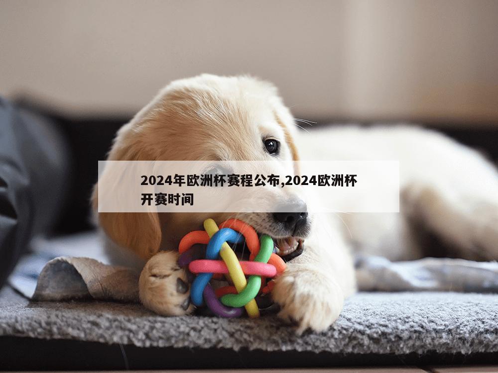 2024年欧洲杯赛程公布,2024欧洲杯开赛时间