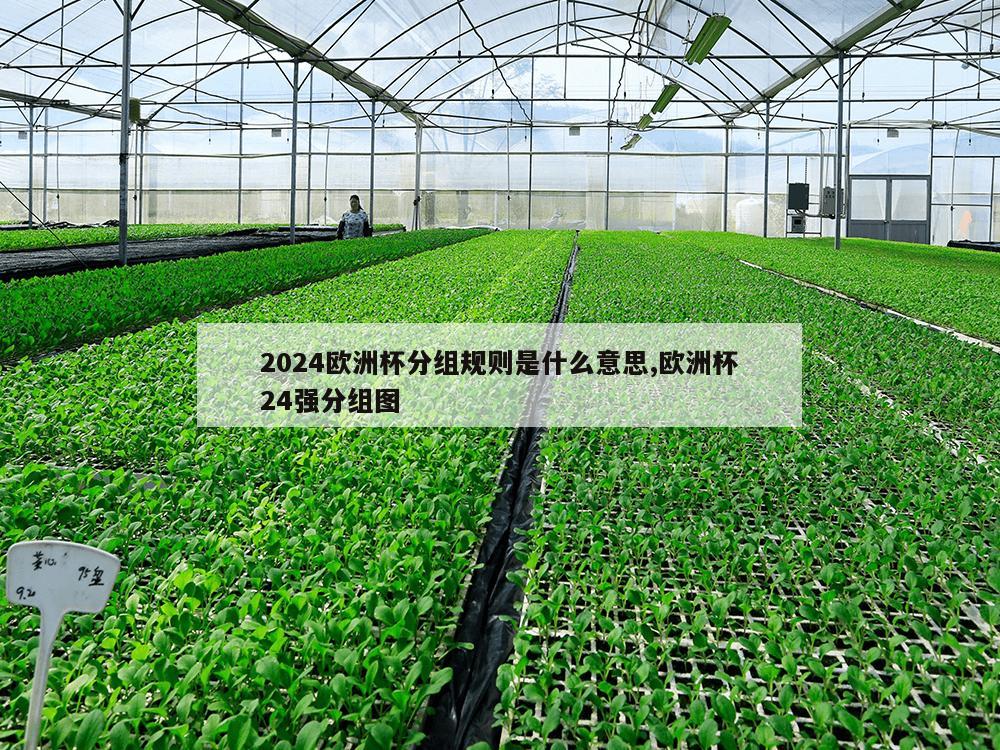 2024欧洲杯分组规则是什么意思,欧洲杯24强分组图