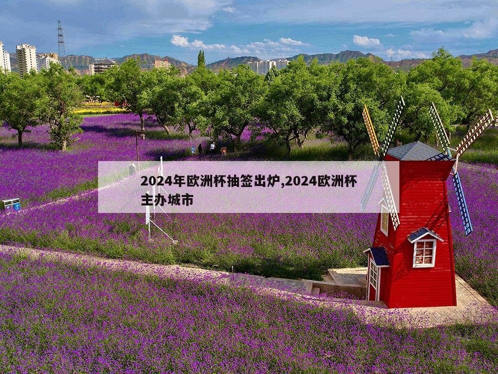 2024年欧洲杯抽签出炉,2024欧洲杯主办城市