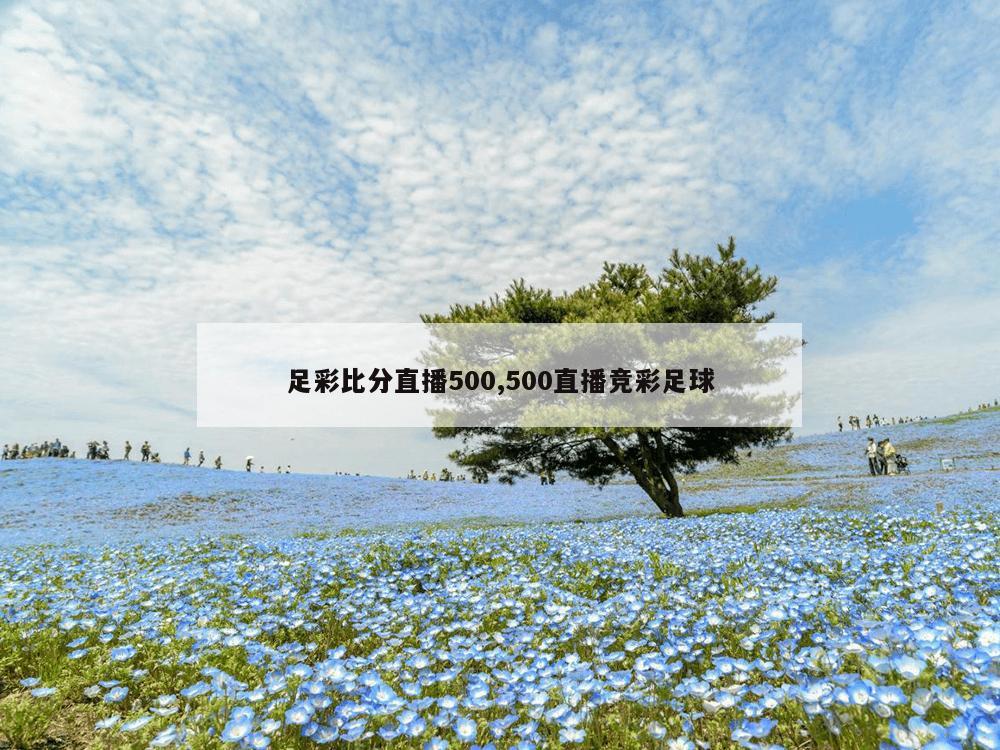 足彩比分直播500,500直播竞彩足球