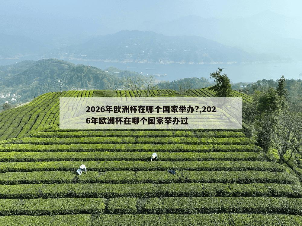 2026年欧洲杯在哪个国家举办?,2026年欧洲杯在哪个国家举办过