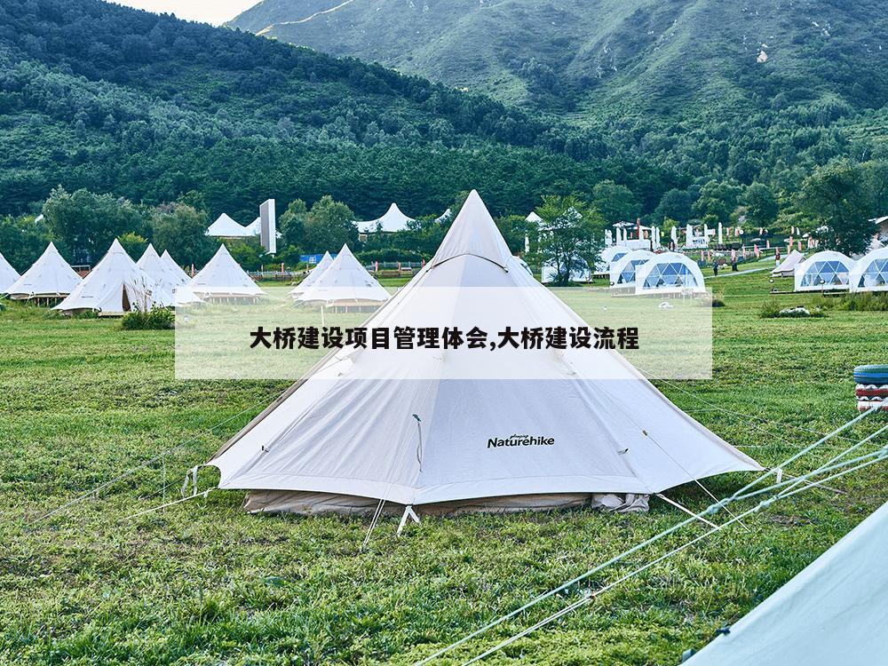 大桥建设项目管理体会,大桥建设流程