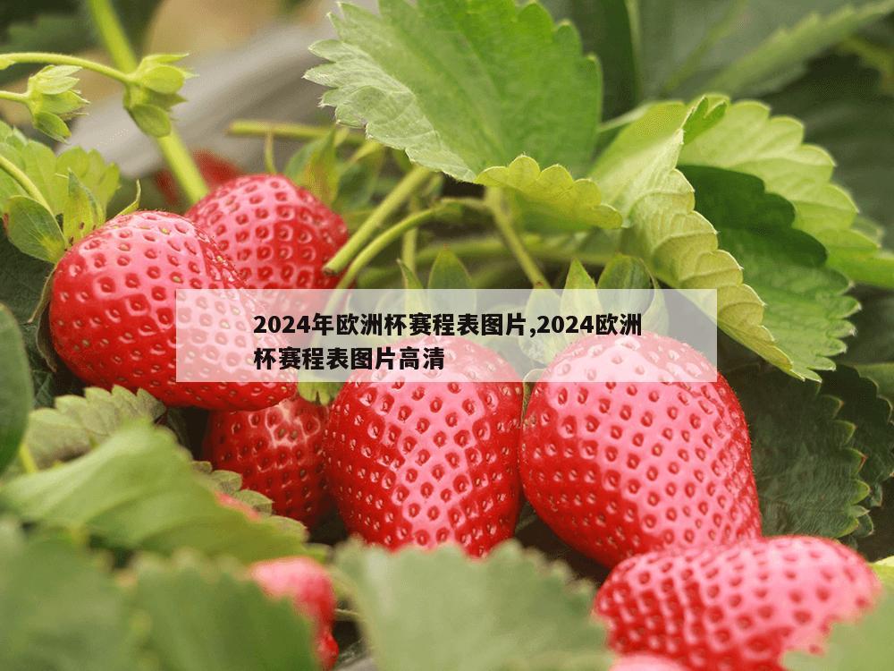 2024年欧洲杯赛程表图片,2024欧洲杯赛程表图片高清