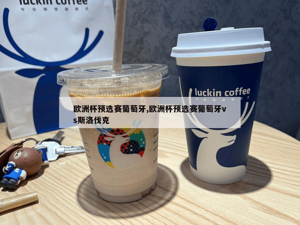 欧洲杯预选赛葡萄牙,欧洲杯预选赛葡萄牙vs斯洛伐克